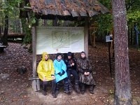 zloty lisc 2017 (30)